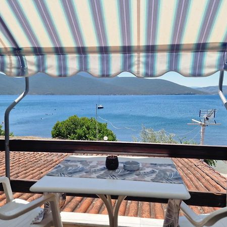 Apartmán Salonikios Pteleós Exteriér fotografie
